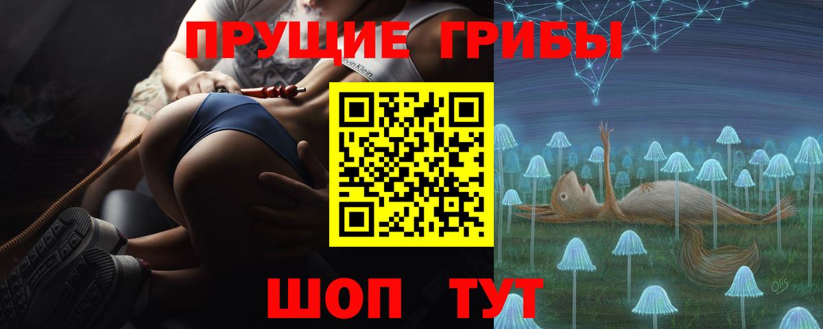 Галлюциногенные грибы MAGIC MUSHROOMS  Вход с VPN  Тейково 